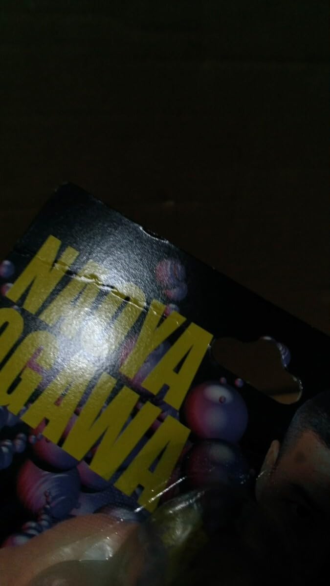 Amazon.co.jp: 大仁田厚 小川直也 キャラプロ FMW UFO プロレス